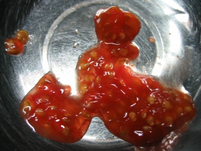 トマト2